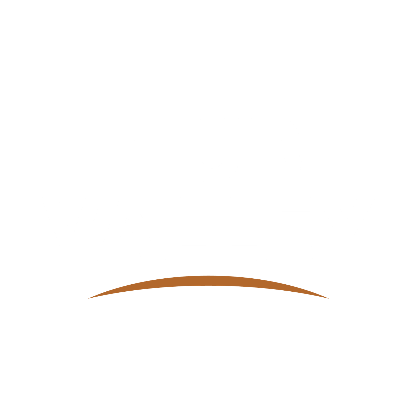 Logo Hub valley